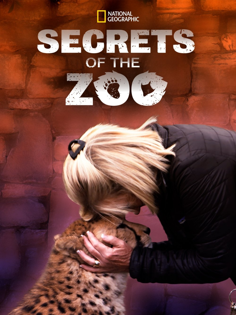 Secrets of The Zoo