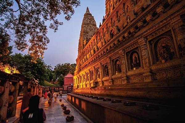 imageDetails.imageAlt