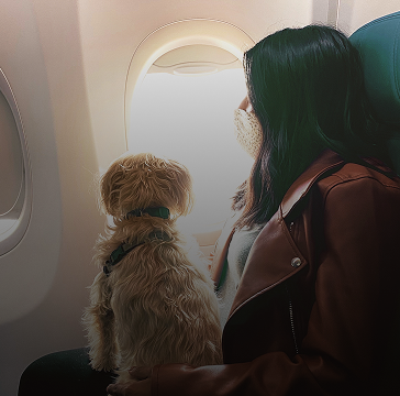 Führ- oder Hilfshund